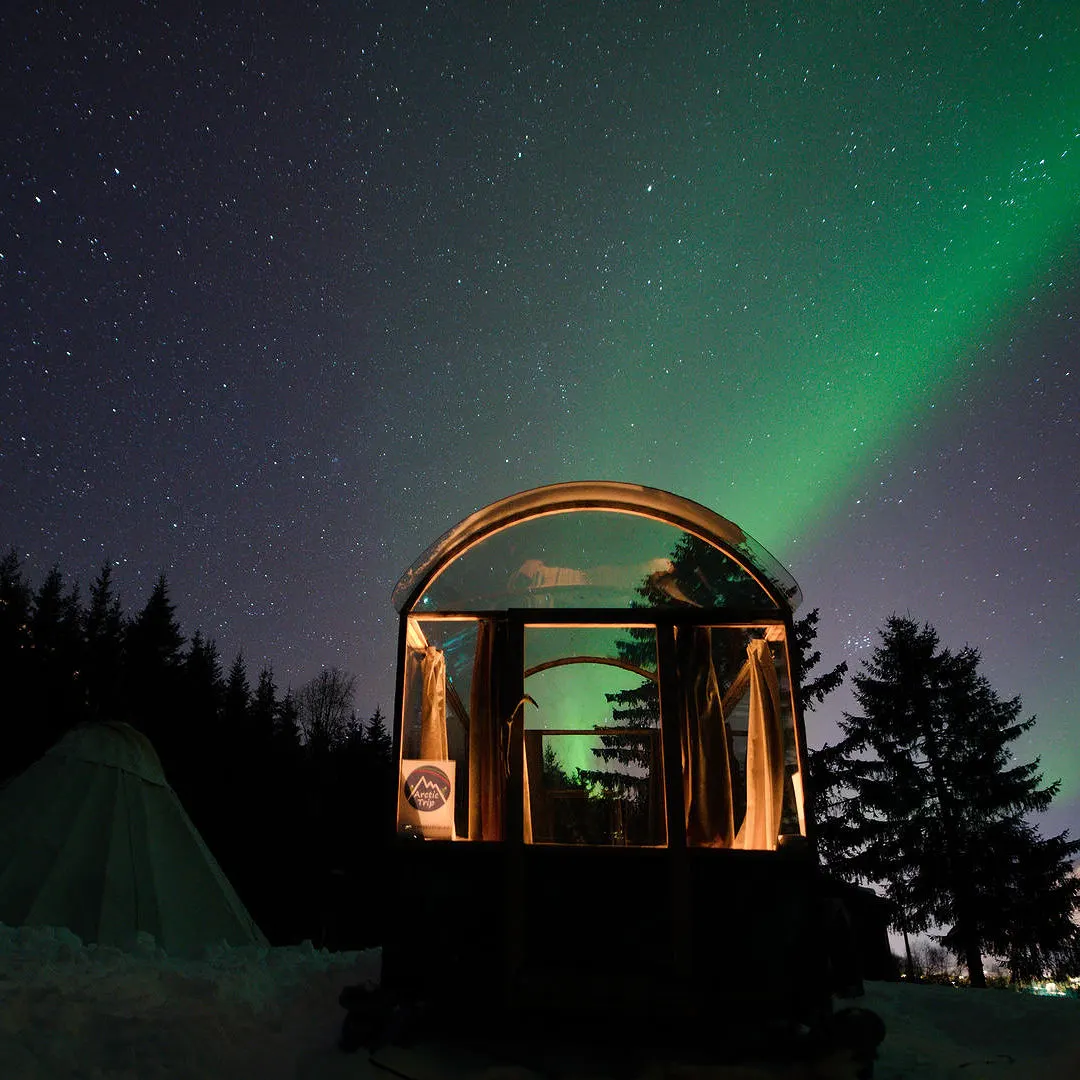 The transparent cabin glowing under green northern lights