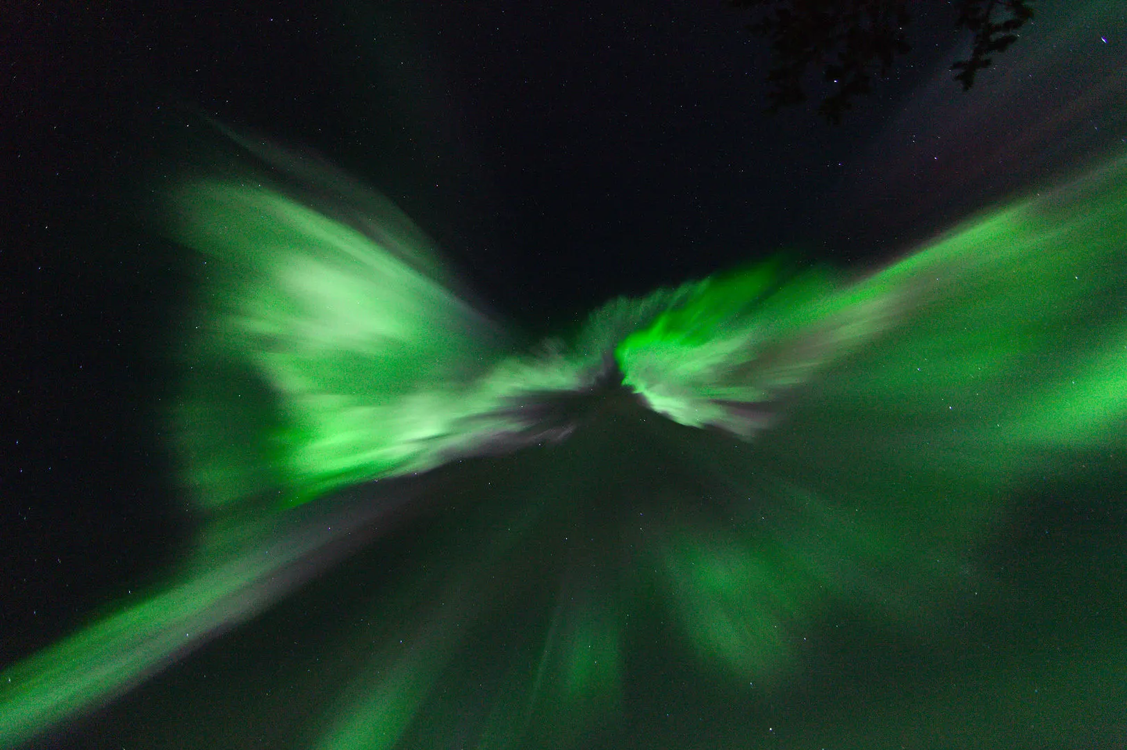 The aurora bursting straight overhead